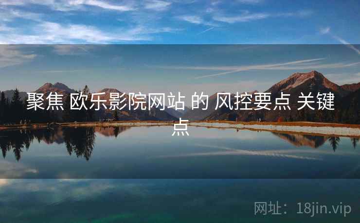 聚焦 欧乐影院网站 的 风控要点 关键点