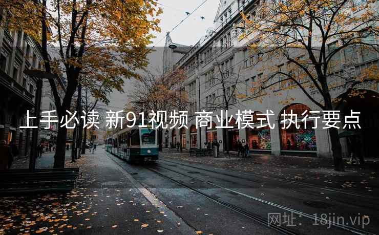 上手必读 新91视频 商业模式 执行要点 上手必读 新91视频 商业模式 执行要点