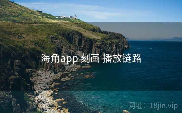 海角app 刻画 播放链路